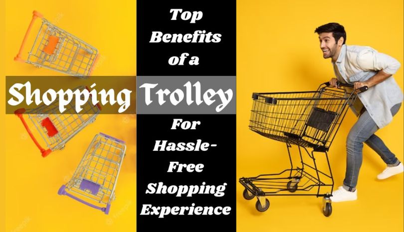 Top Benefits Of a Shopping Trolley For a Hassle-Free Shopping Experience